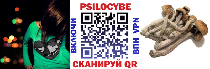 Псилоцибиновые грибы мицелий  Нижняя Тура 